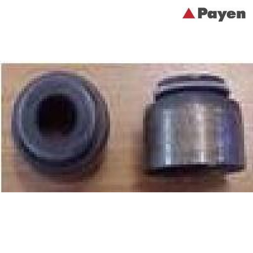 Seal ring valve - valve, payen